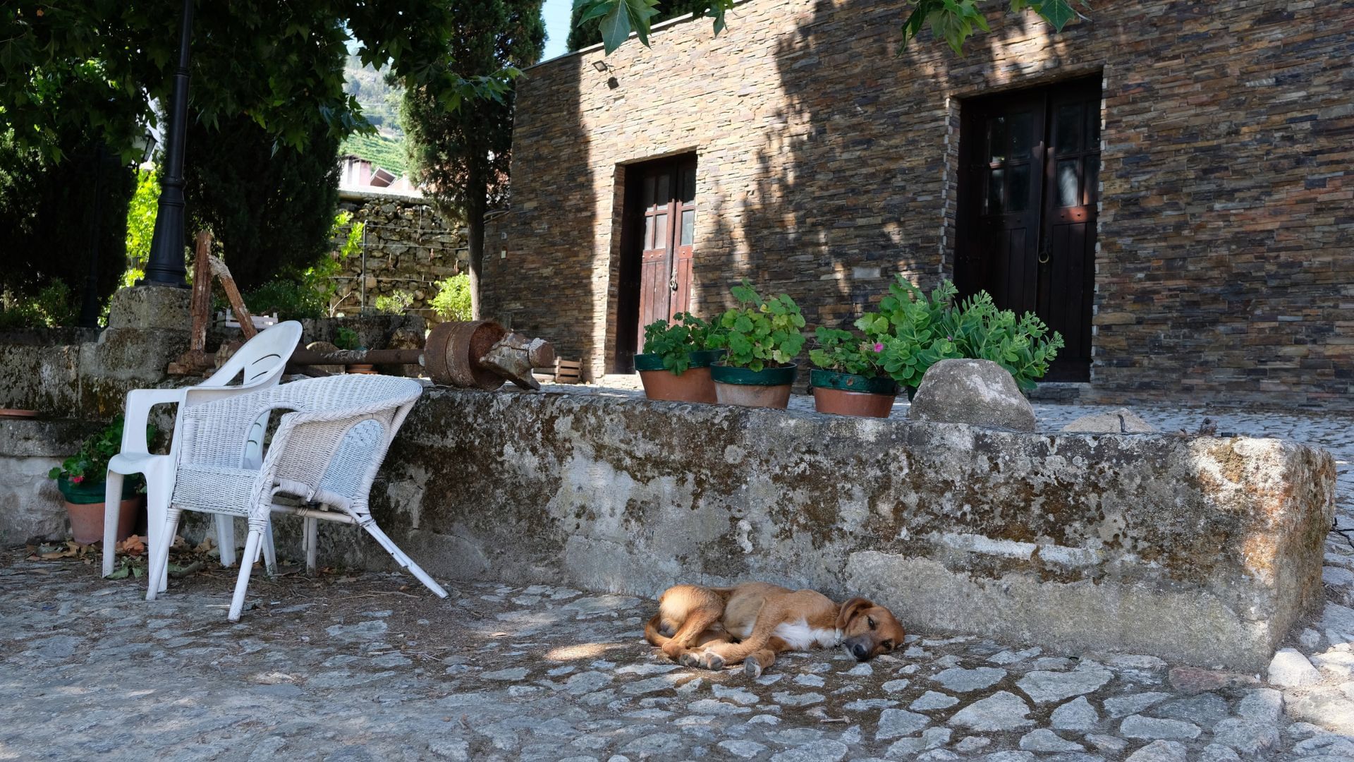 Image of a typical outside area of a winery in the Douro Valley with shale houses on Cooltour Oporto's Douro Valley Wine Tour from Porto