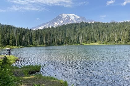 Explore Mt. Rainier National Park with a Local Guide