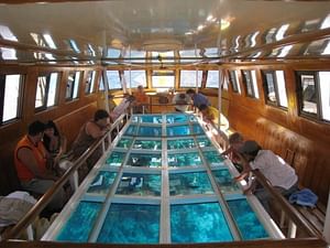 Private Glass Bottom Boat Tour: Explore The Red Sea Wonders "Only Your Group"