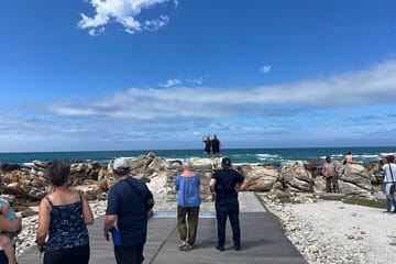Cape Agulhas, Full-Day Private Tour & Wine Tasting from Cape Town