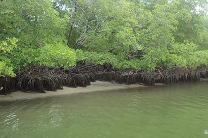 Tour The Sheep Beach With Catamaran