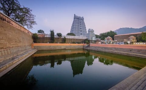 Day Trip from Trichy to Tiruvannamalai's Hill of Enlightenment