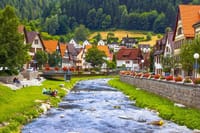 Full-Day Private Tour from Zurich to Lake Titisee Black Forest 10