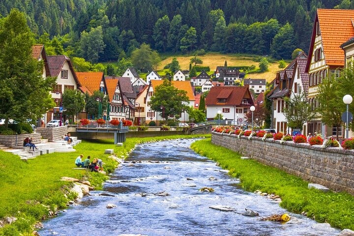 Full-Day Private Tour from Zurich to Lake Titisee Black Forest 10