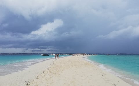 Prison Island and Nakupenda Beach Day Tour in Zanzibar
