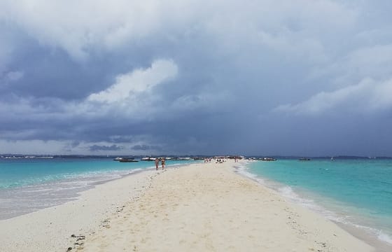 Prison Island and Nakupenda Beach Day Tour in Zanzibar