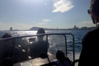 One-hour High-Speed Powerboat Ride 4