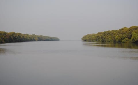Coastal and Valley Tour from Vizag to Chennai, India