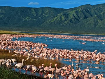 OVERNIGHT SAFARI TO LAKE ELEMENTAITA, SOYSAMBU AND KARIANDUSI PRE-HISTORIC