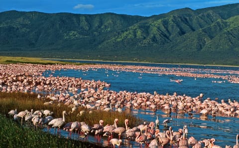 OVERNIGHT SAFARI TO LAKE ELEMENTAITA, SOYSAMBU AND KARIANDUSI PRE-HISTORIC