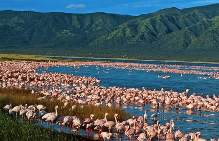 OVERNIGHT SAFARI TO LAKE ELEMENTAITA, SOYSAMBU AND KARIANDUSI PRE-HISTORIC