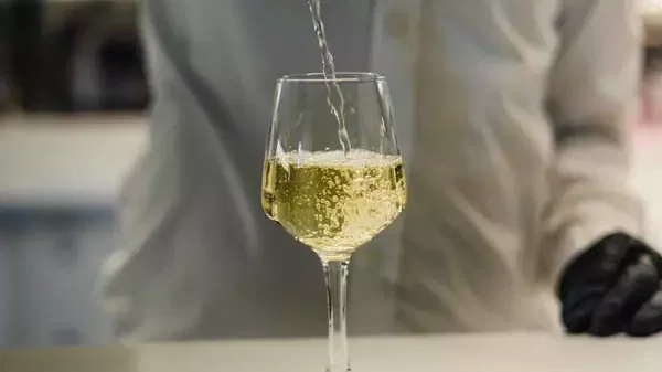 A person wearing a white shirt and a black glove pours white wine into a glass at Alexandra Sea Lounge.