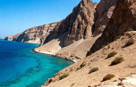 Ras Mohammed National Park Half Day Tour from Sharm El-Sheikh