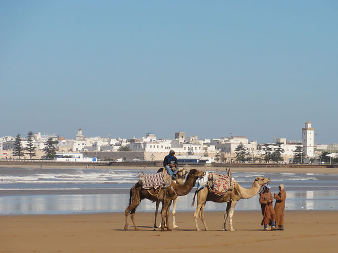 Mogador Camel Expedition Ecotour | 1 Day : Private & Luxury 4