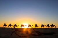 Sunset Camel Ride and ATV Combo Adventure in Los Cabos 7