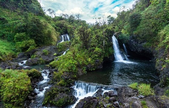 All Inclusive Full Day Tour in Saranda Forest from Kolkota