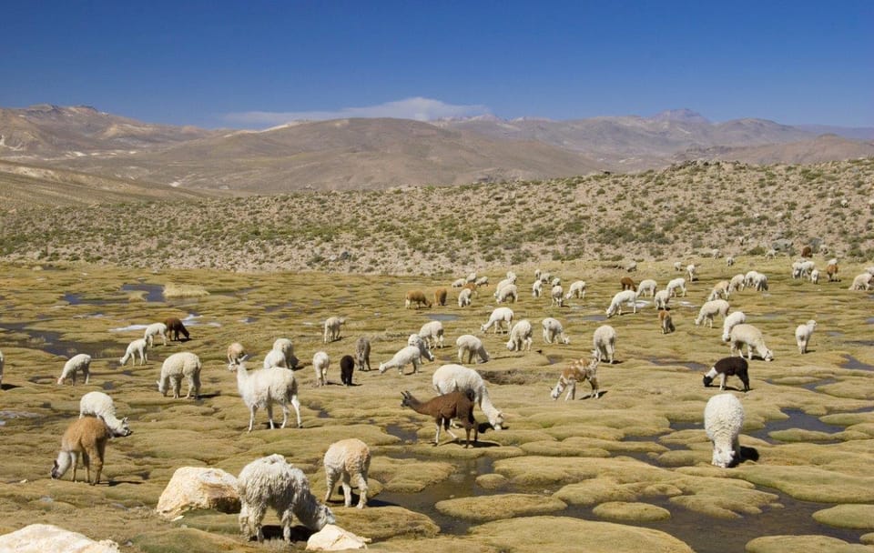 Huaraz, the Heart of the Mountains – Semi-private tour