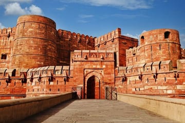 Taj Mahal and Agra Fort Guided Tour with Lunch Included