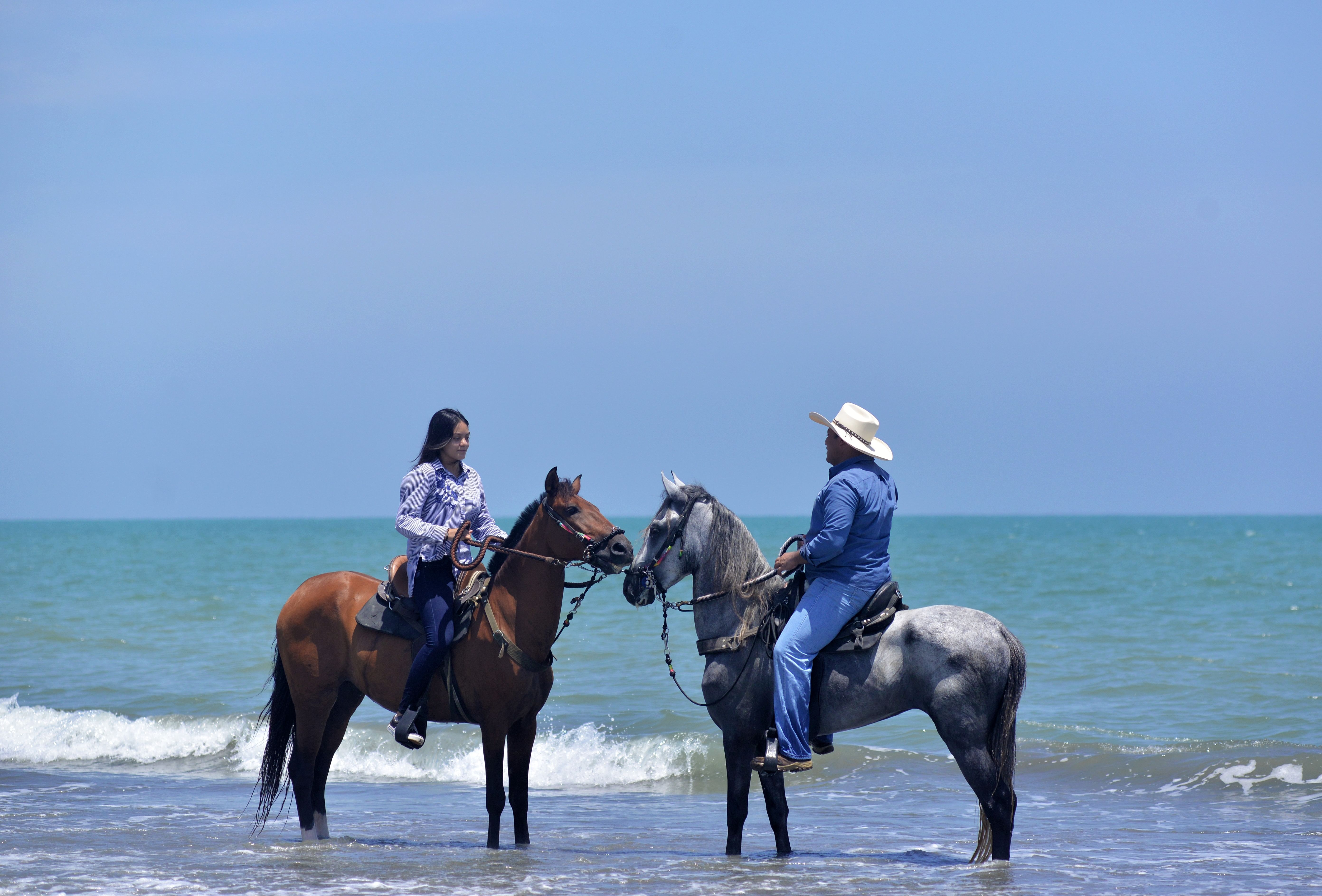 Caballos de Paso fino en la Playa