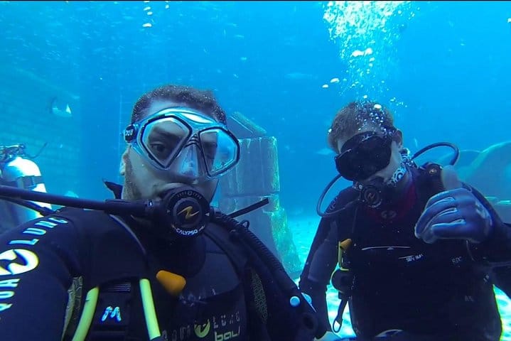Diving with Sharks certified 6