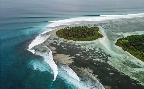 7-Day Surfing and Relaxation Trip in Himmafushi, Maldives
