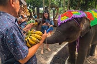 Private Nong Nooch VIP Tour Skywalk Dinosaurs and with Lunch 4