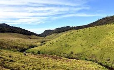 Horton Plains National Park Day Trip from Kandy