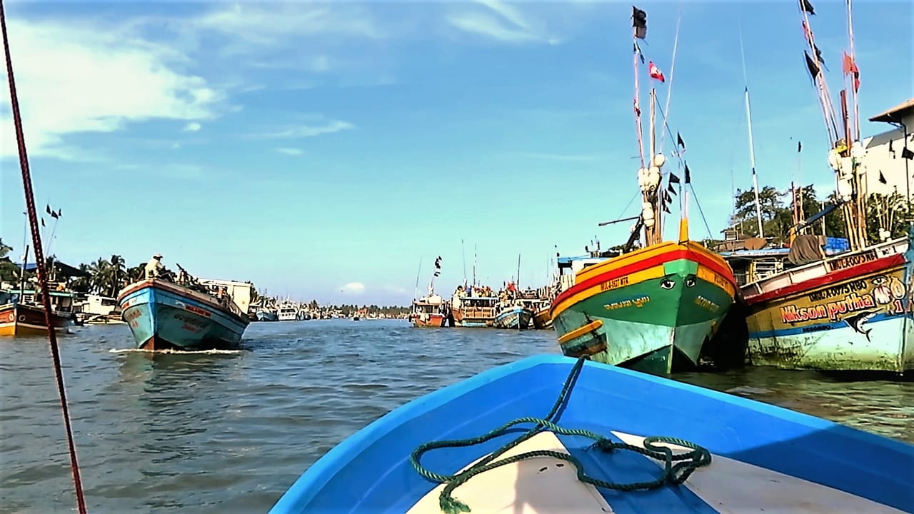Maha Oya River Boat safari & Hamilton Canal in Negombo 4