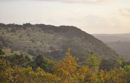 Shimba Hills Safari Day Trip from Diani, Kenya