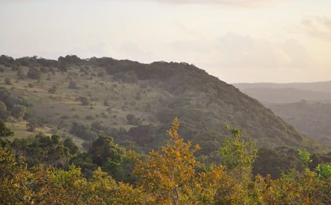 Shimba Hills Safari Day Trip from Diani, Kenya