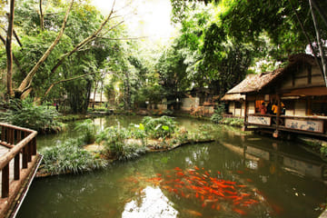 Chengdu Cultural Sites and Museum Tour with Private Transport