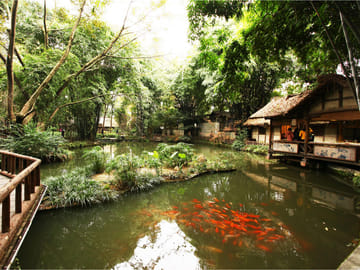 Chengdu Cultural Sites and Museum Tour with Private Transport