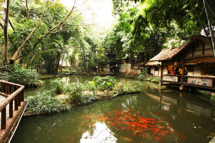 1 Day Museum and Cultural Sites Tour