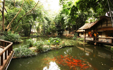 Chengdu Cultural Sites and Museum Tour with Private Transport