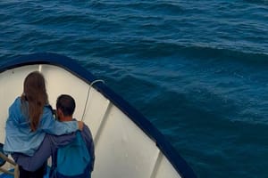 Ireland's Eye and Howth Coastal Boat Tour