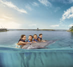 Dolphin Swim Adventure at Montego Bay  9