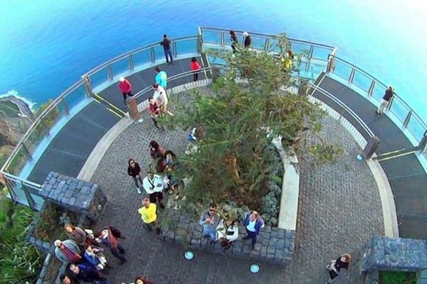 Amazing Skywalk, Cliff & Valleys in Open Roof 4x4 Tour + Dolphins Watching