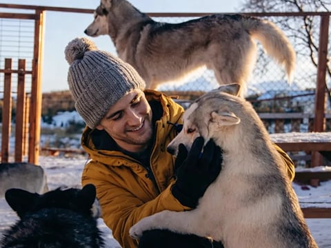 Adventure! Arctic Odyssey: Huskies and the Aurora Borealis!, photo 18