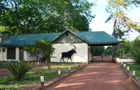 Day Tour To Shimba Hills Park from Mombasa