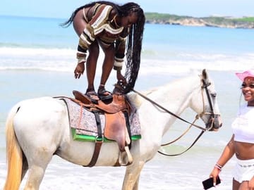 Enjoy an amazing horseback riding adventure along the beautiful beaches of Punta Cana.