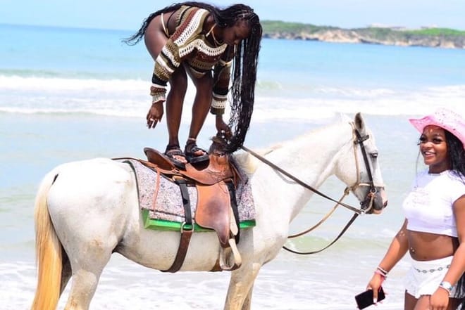Punta Cana Horseback Riding Tour: Beaches, Fields and Forests +