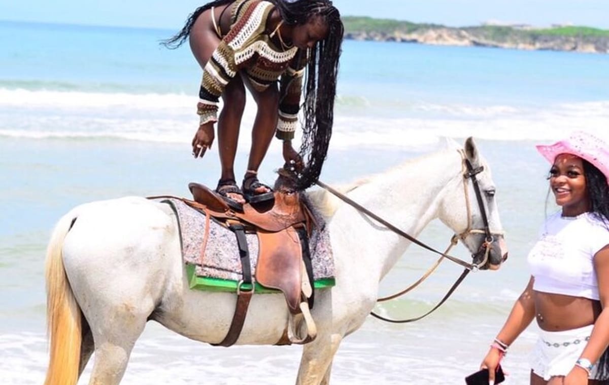 Punta Cana Horseback Riding Tour: Beaches, Fields and Forests +