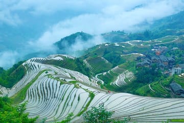 Private Day Tour of Longji Rice Terraces and Minority Village in Guilin
