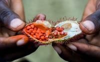Zanzibar Spice Tour with Local Food 2