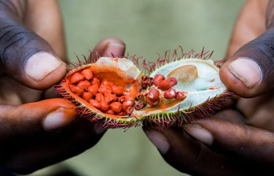 Zanzibar Spice Tour with Local Food