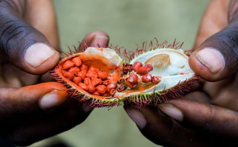 Zanzibar Spice Farm Tour with Local Food Tastings