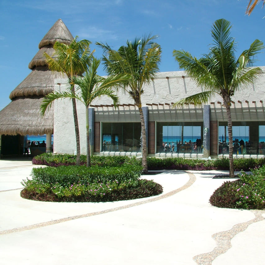 Dolphin Encounter en Cozumel 10