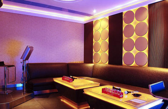 Pearl River Night Cruise and Karaoke with Buffet Dinner Tour in Guangzhou