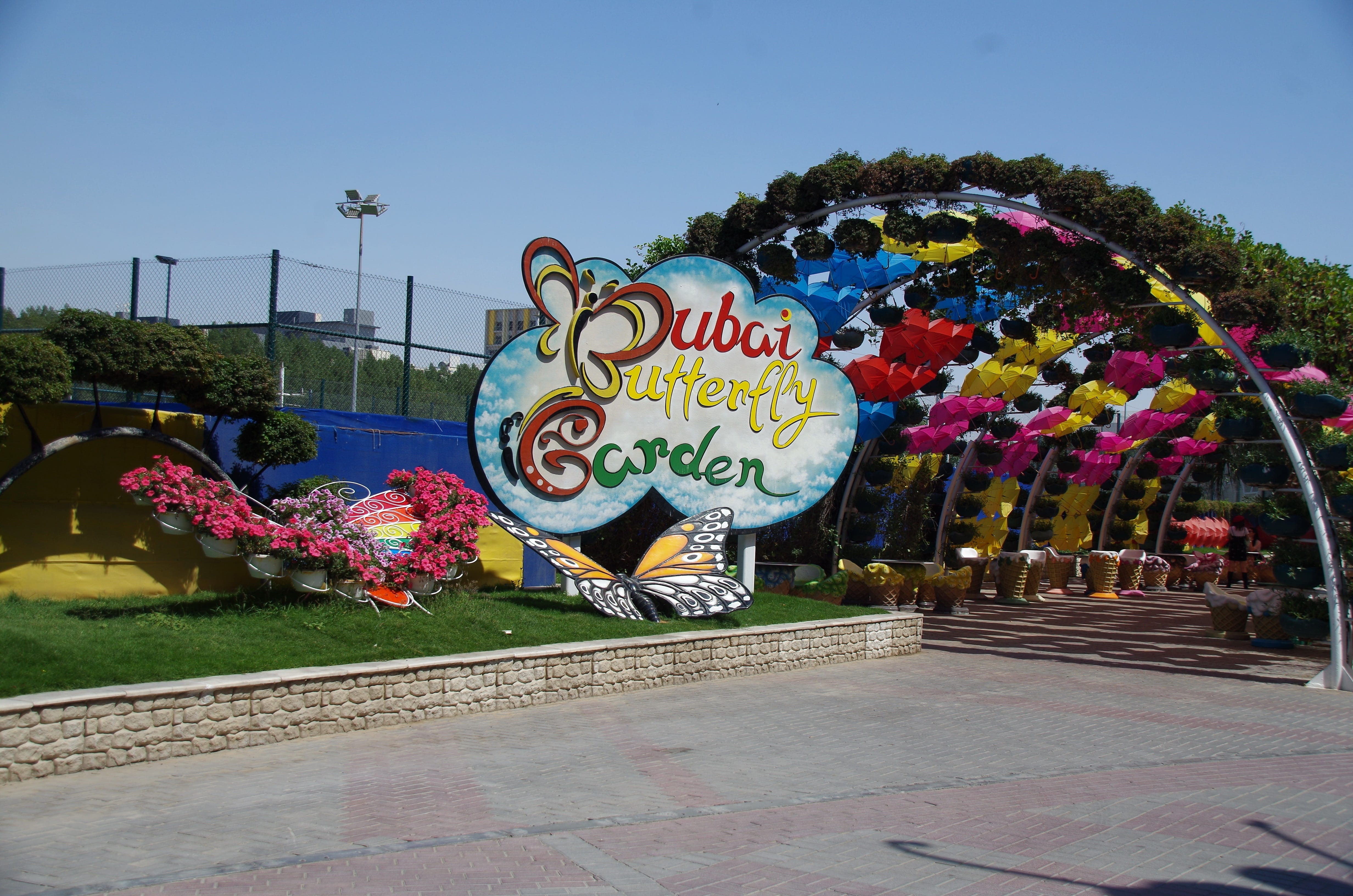 Dubai Butterfly Garden Tickets