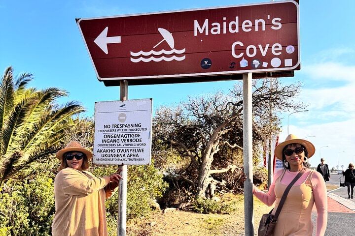 Table Mountain and Penguins Half Day Shared Group Tour